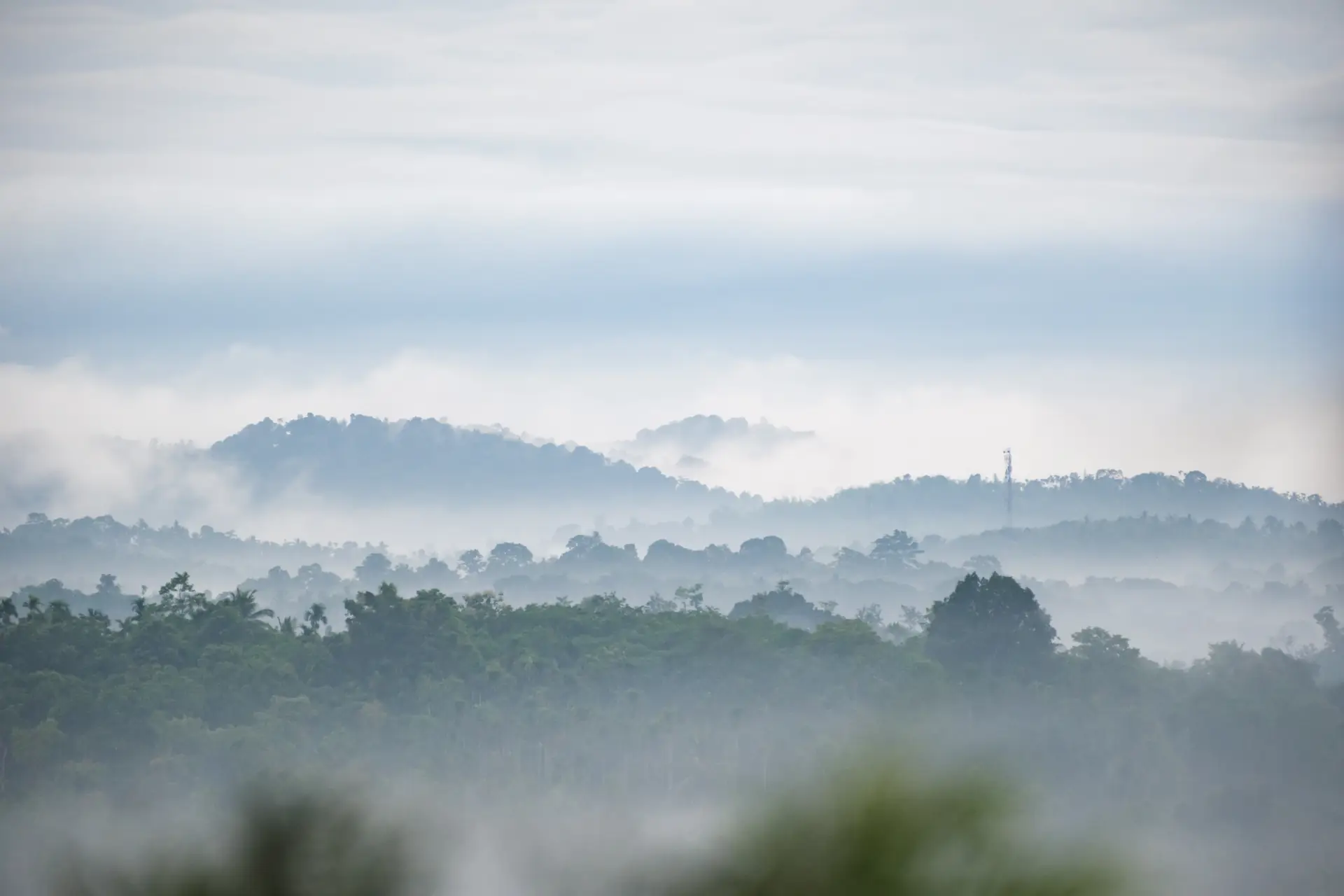 Hills rising out of the clouds