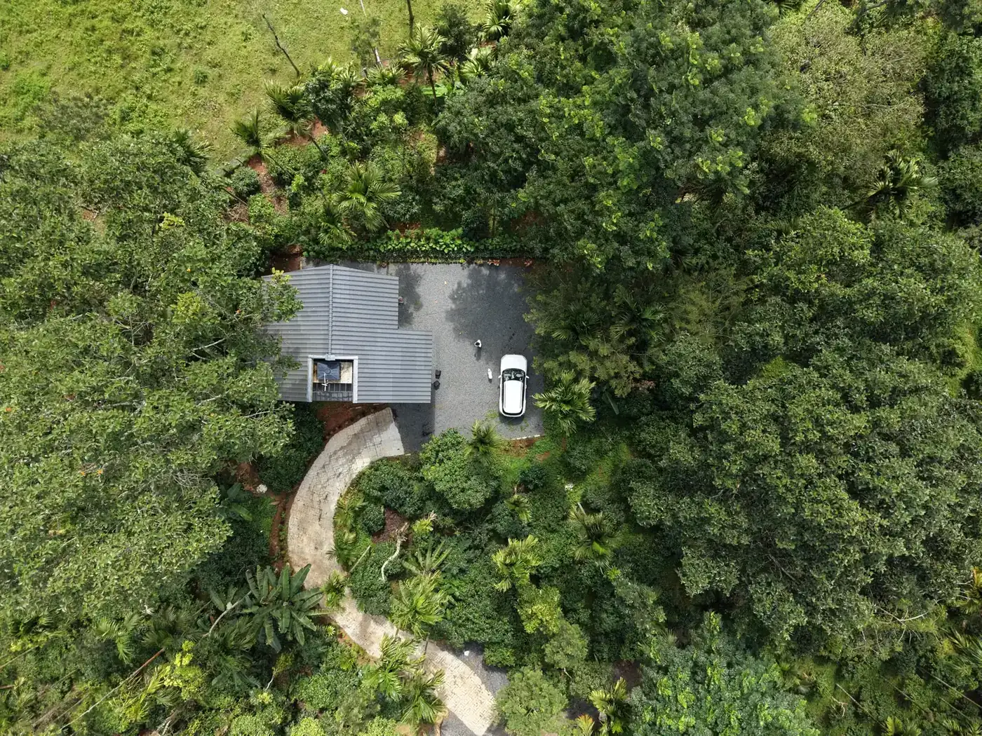 Home among the trees