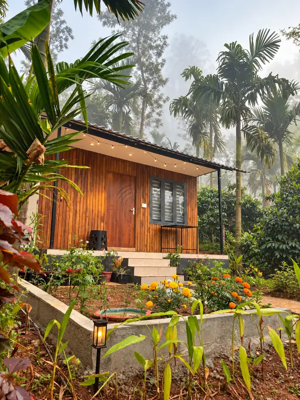 Hut Arabica on a misty morning