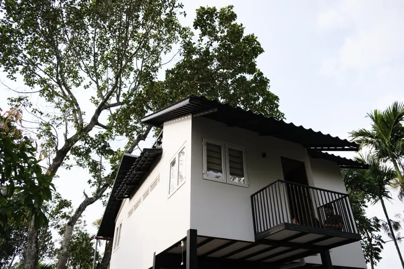 Villa Robusta by day, under the old trees
