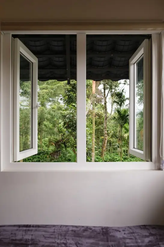 Window onto the coffee