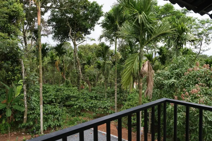 The view from the balcony