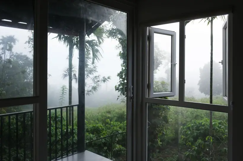 Monsoon mist over the estate